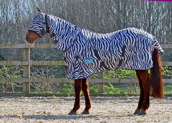 Zebra Pattern Horse Rug